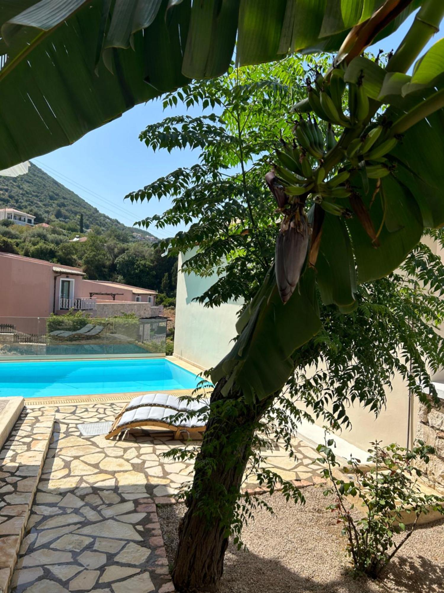 Villa Saint George Никиана Экстерьер фото